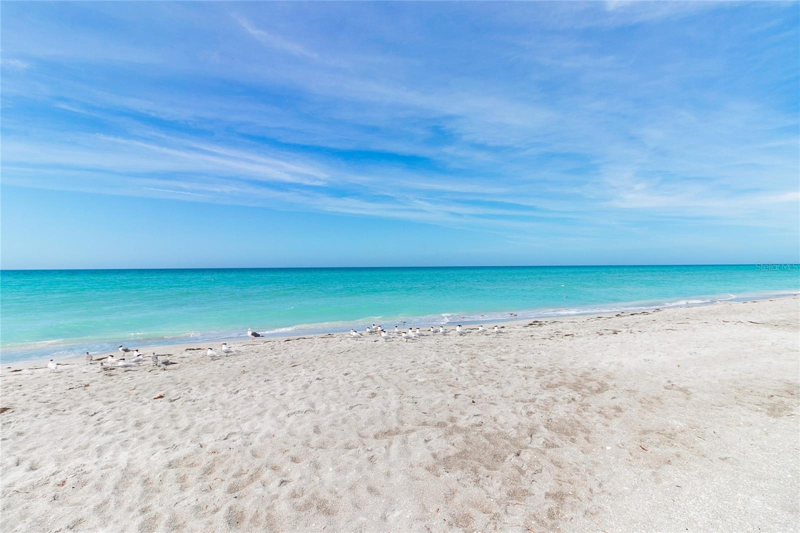 1045 GULF OF MEXICO DR #205, LONGBOAT KEY, FL, 34228