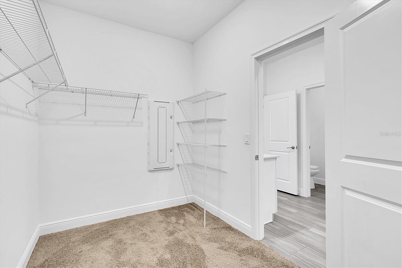 9967 RED BAY LOOP, LAND O LAKES, FL, 34637