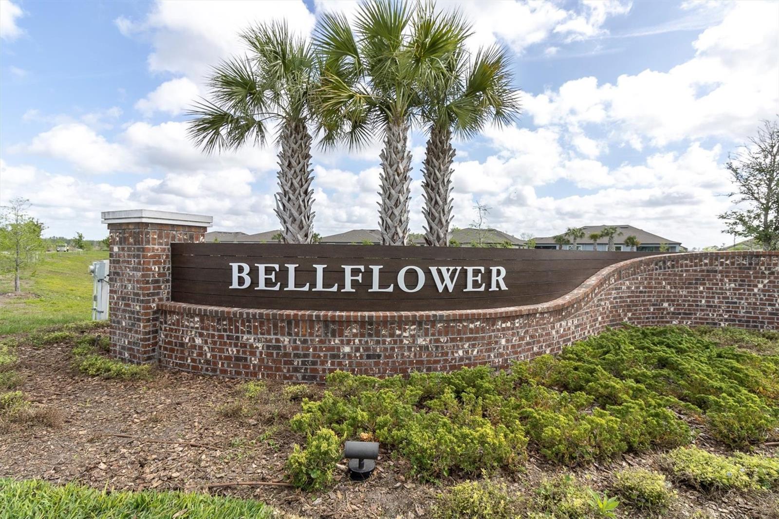 9967 RED BAY LOOP, LAND O LAKES, FL, 34637