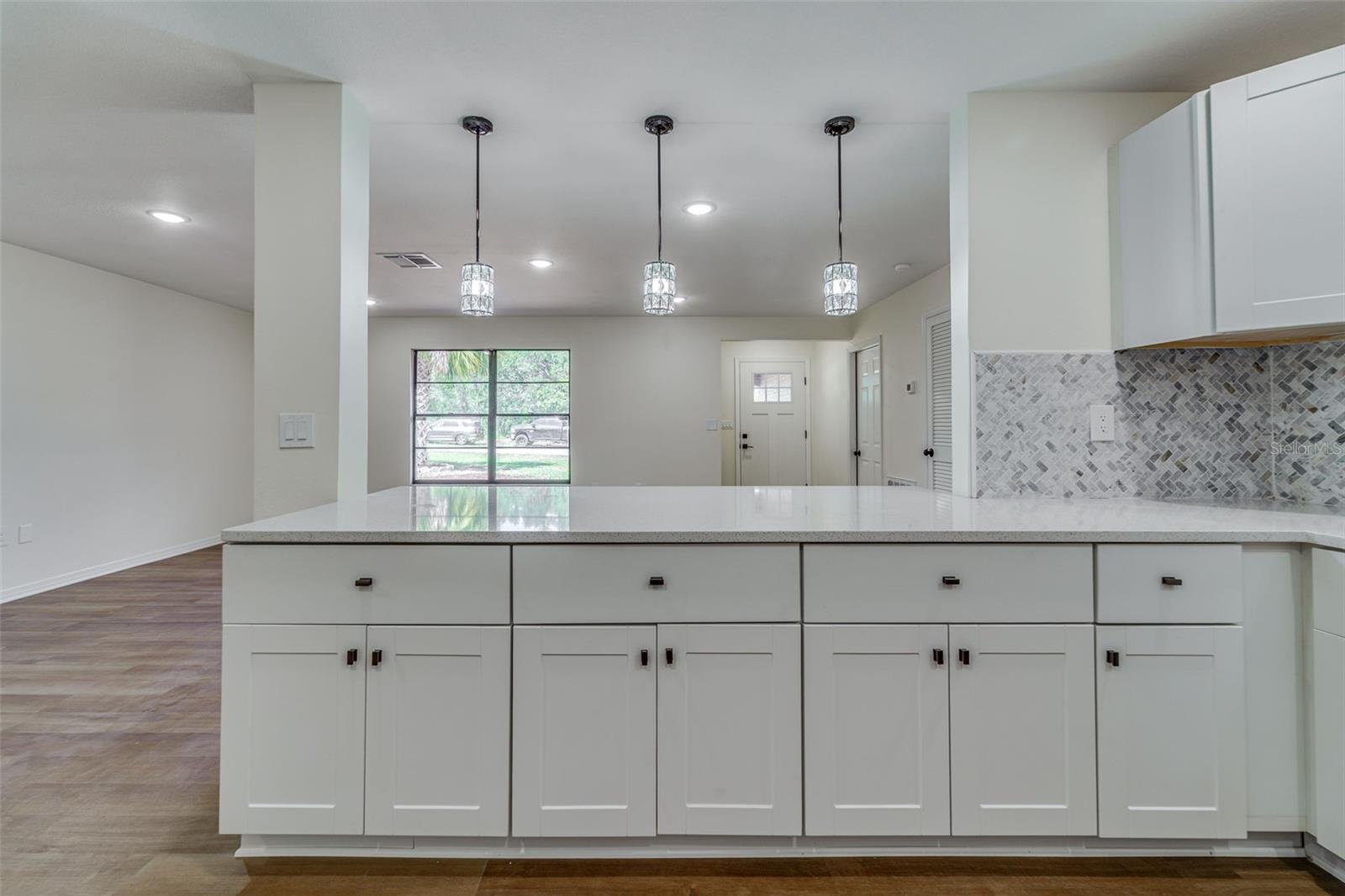11480 GENTER DR, SPRING HILL, FL, 34609
