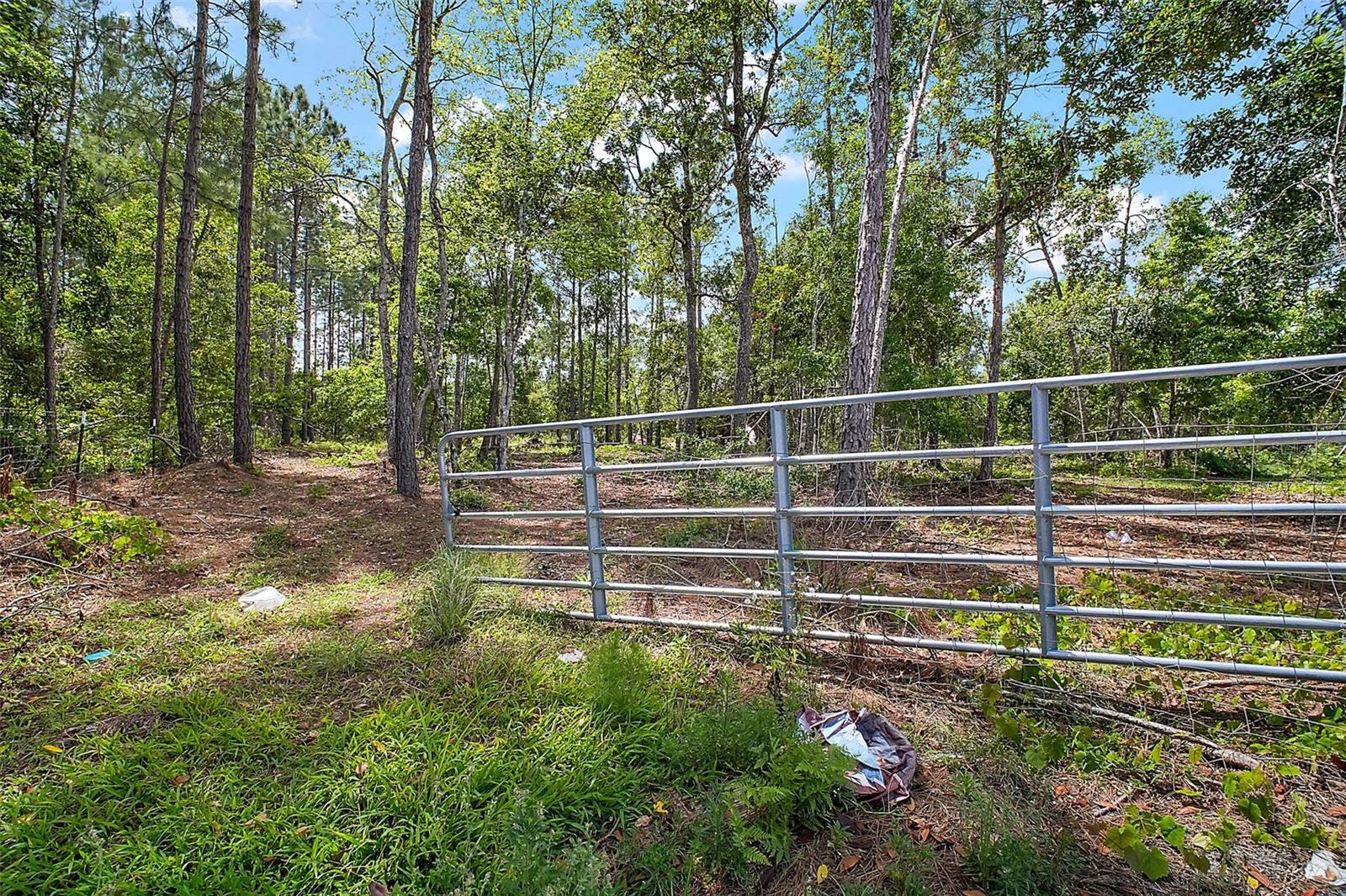 14300 BEVERLY DR, ASTATULA, FL, 34705