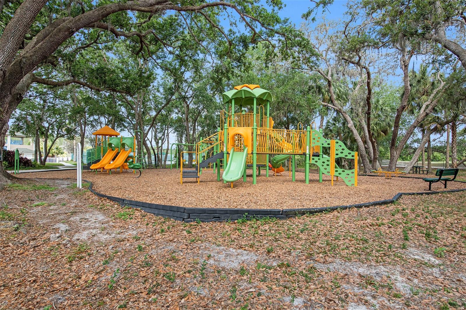 18111 PARADISE POINT DR, TAMPA, FL, 33647