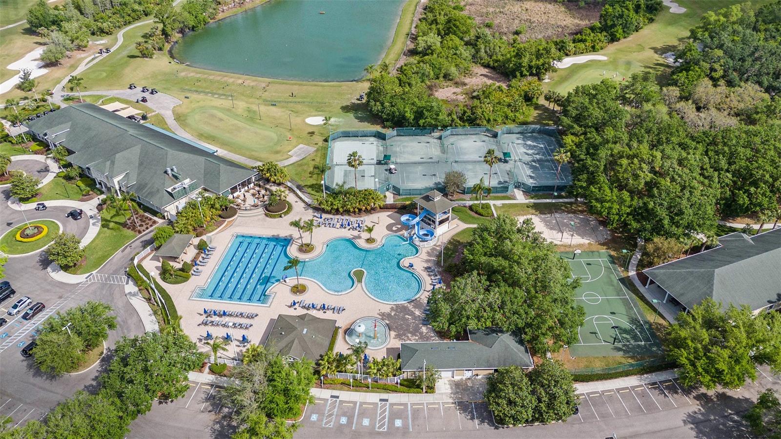 18111 PARADISE POINT DR, TAMPA, FL, 33647