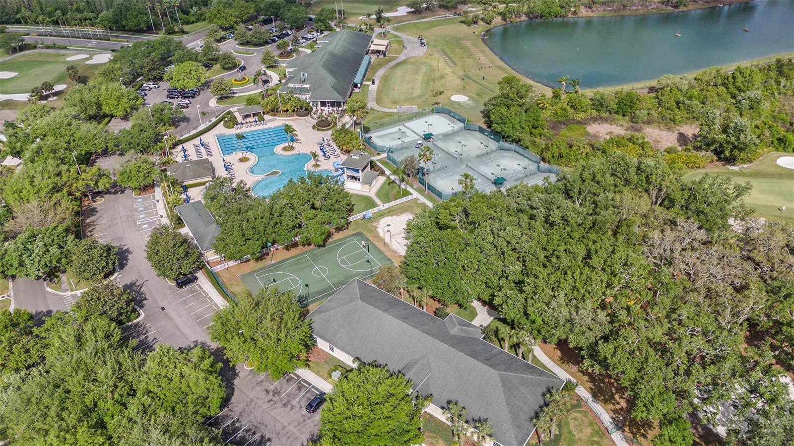 18111 PARADISE POINT DR, TAMPA, FL, 33647
