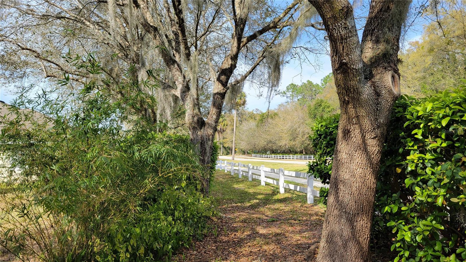 421 HOLLY FERN TRL, DELAND, FL, 32720