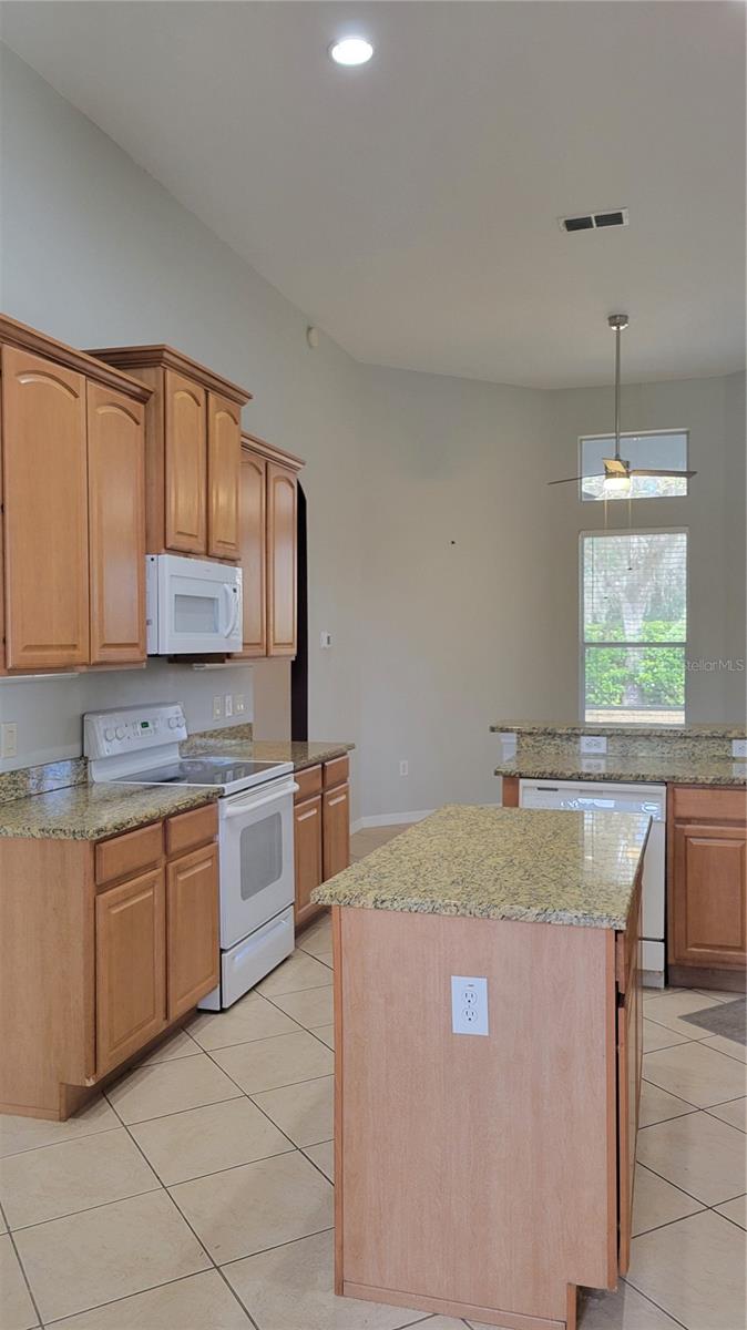 421 HOLLY FERN TRL, DELAND, FL, 32720