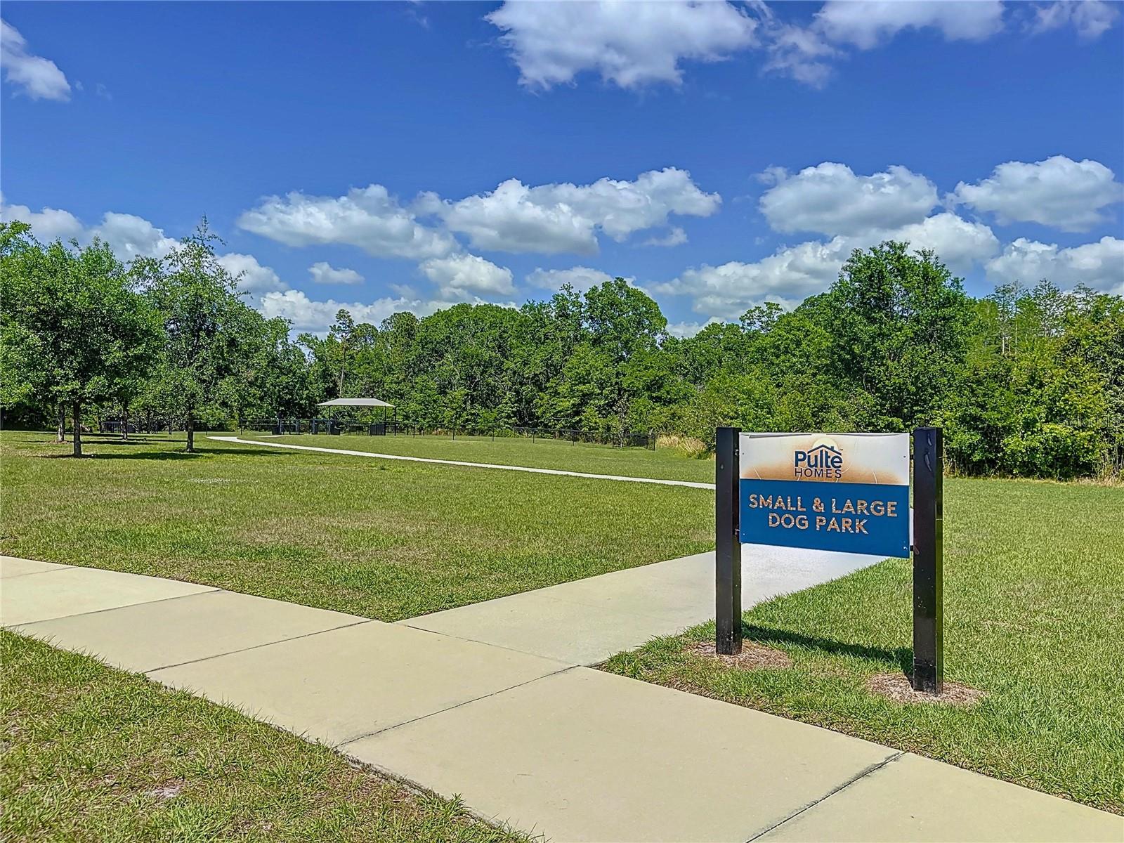 20983 MONZA LOOP, LAND O LAKES, FL, 34638