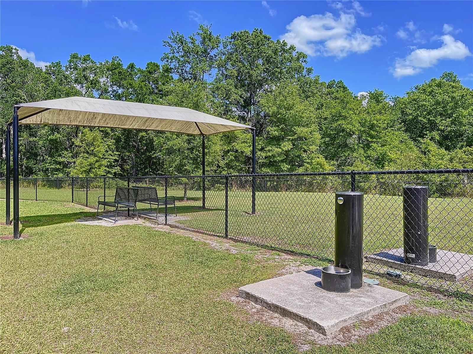20983 MONZA LOOP, LAND O LAKES, FL, 34638