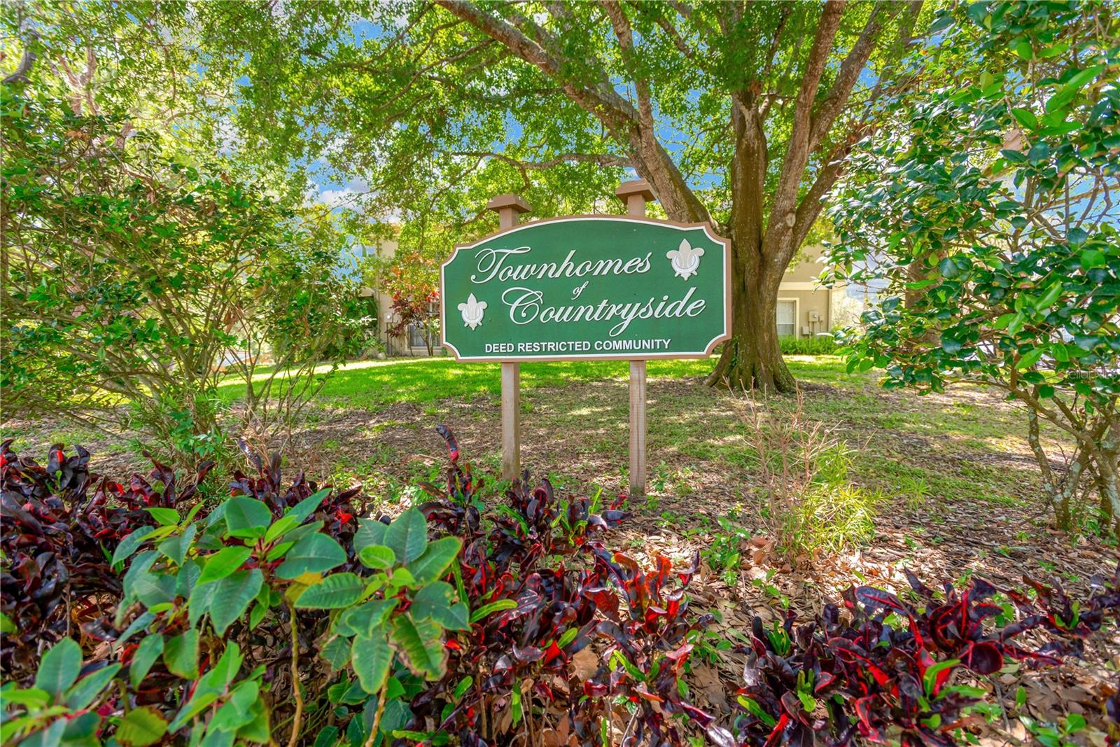 2897 THAXTON DR #62, PALM HARBOR, FL, 34684
