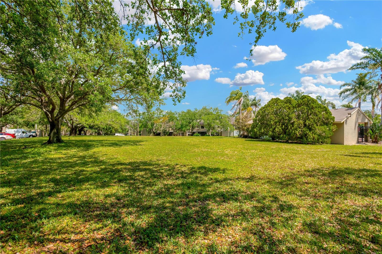 2897 THAXTON DR #62, PALM HARBOR, FL, 34684