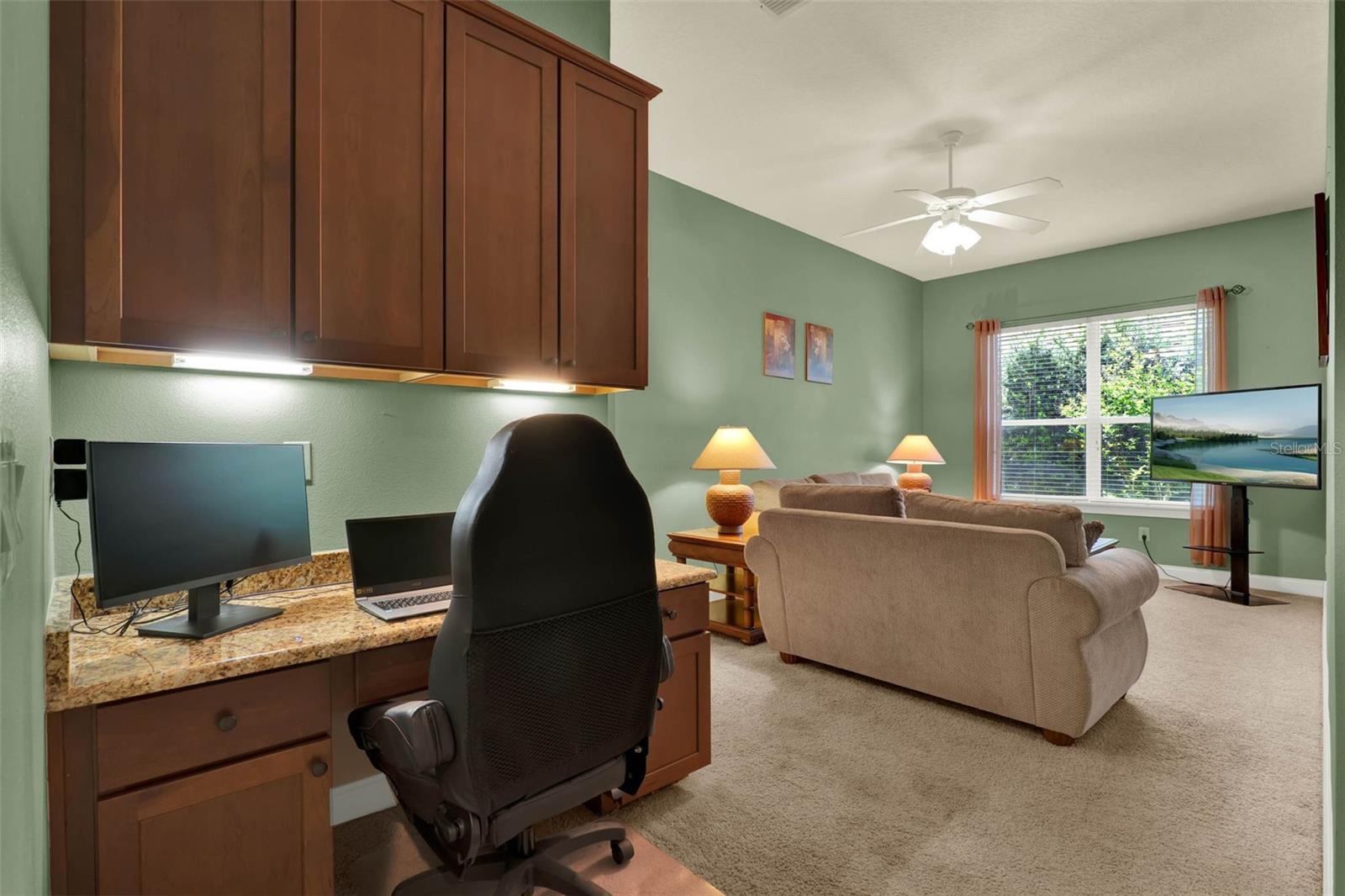 32613 VIEW HAVEN LN, SORRENTO, FL, 32776