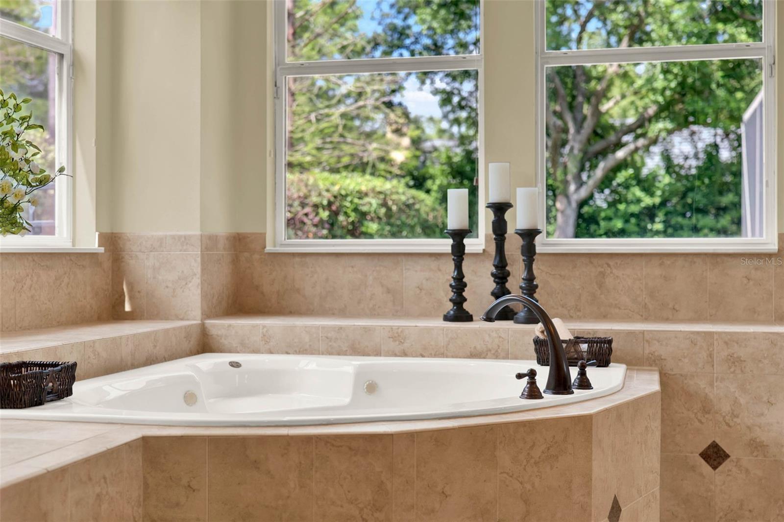 32613 VIEW HAVEN LN, SORRENTO, FL, 32776