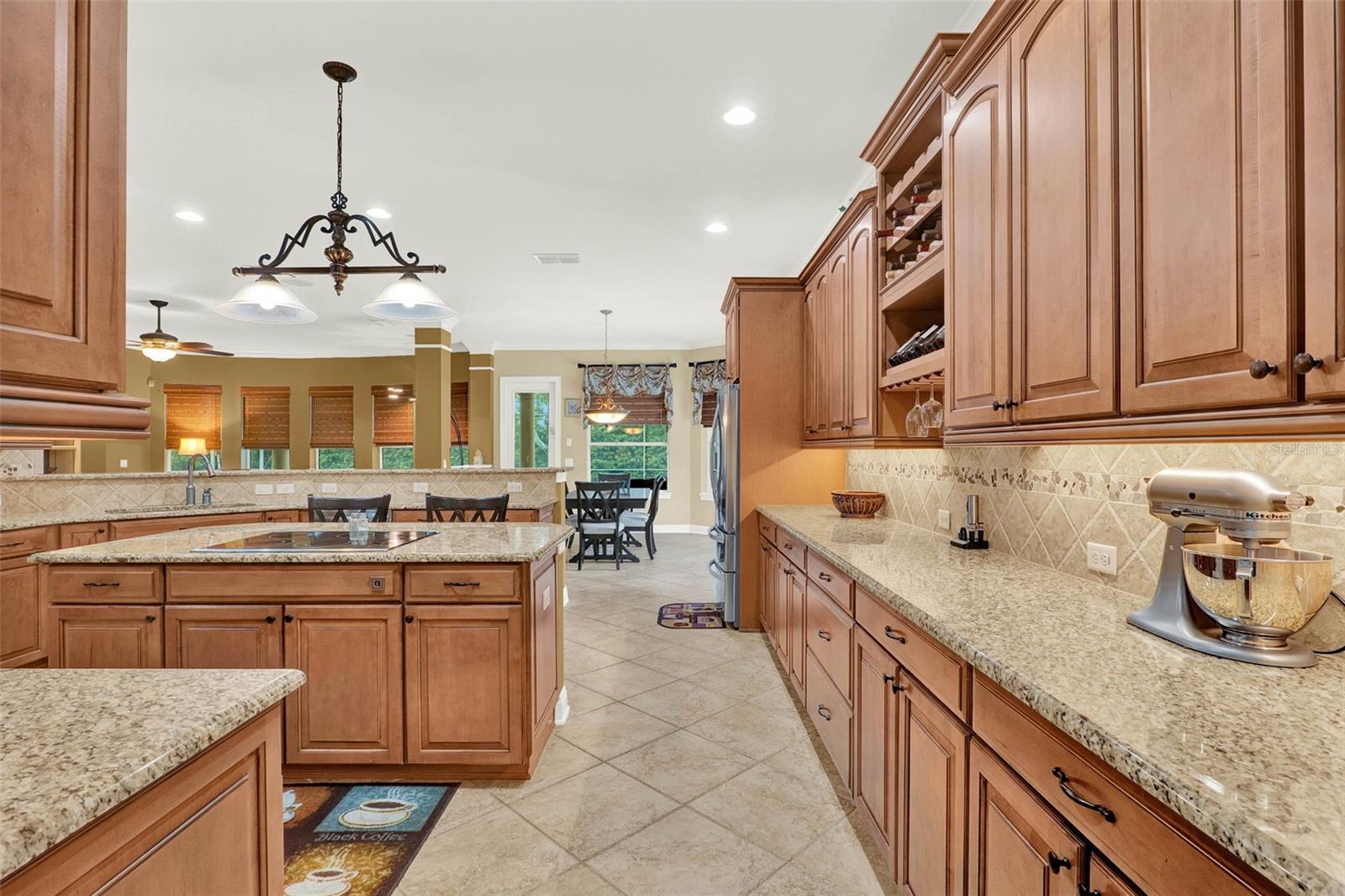 32613 VIEW HAVEN LN, SORRENTO, FL, 32776