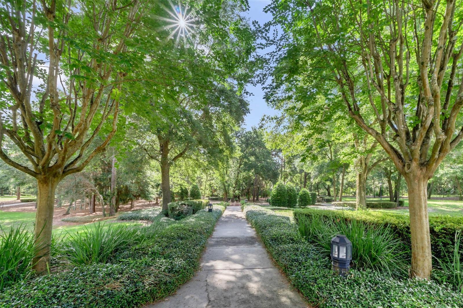 32613 VIEW HAVEN LN, SORRENTO, FL, 32776