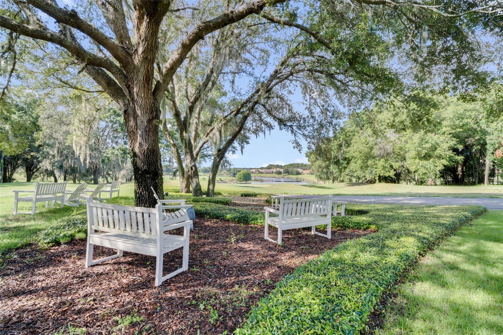 32613 VIEW HAVEN LN, SORRENTO, FL, 32776