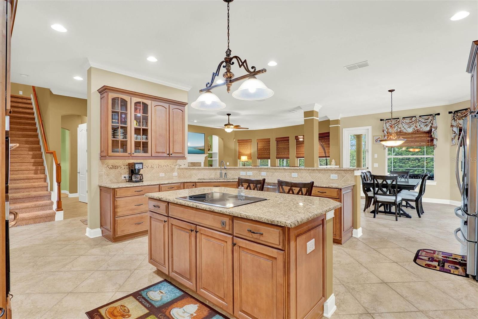 32613 VIEW HAVEN LN, SORRENTO, FL, 32776