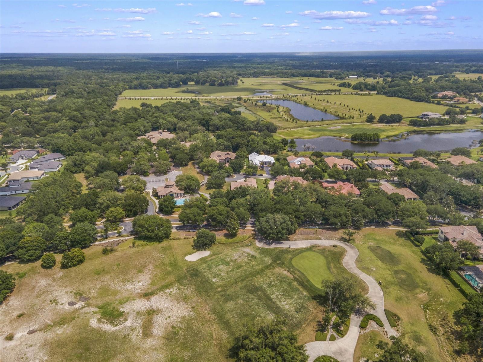 32613 VIEW HAVEN LN, SORRENTO, FL, 32776