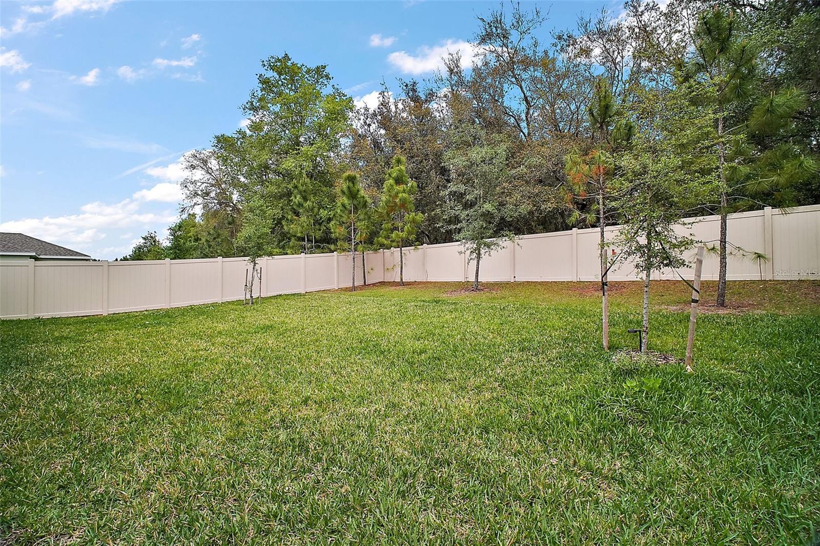 444 SHADOW GORGE WAY, EUSTIS, FL, 32736