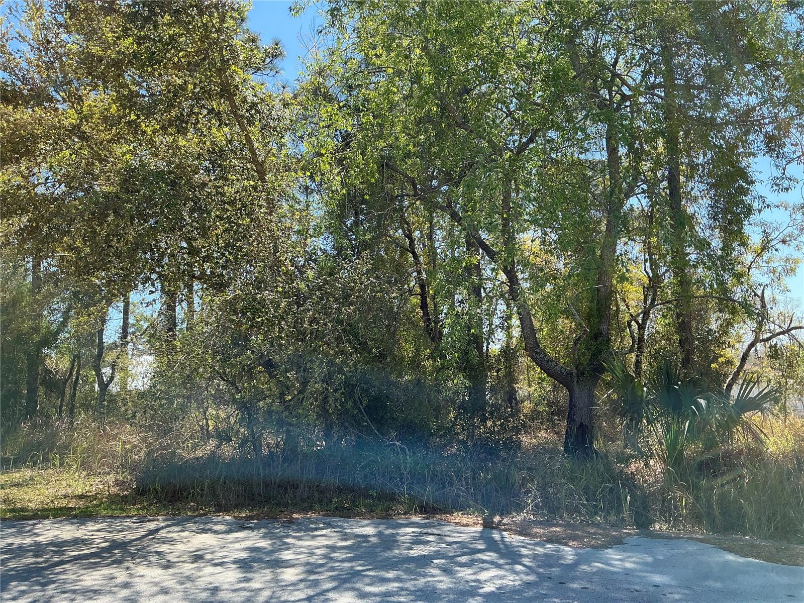 10 HEMLOCK LOOP PASS, OCALA, FL, 34472
