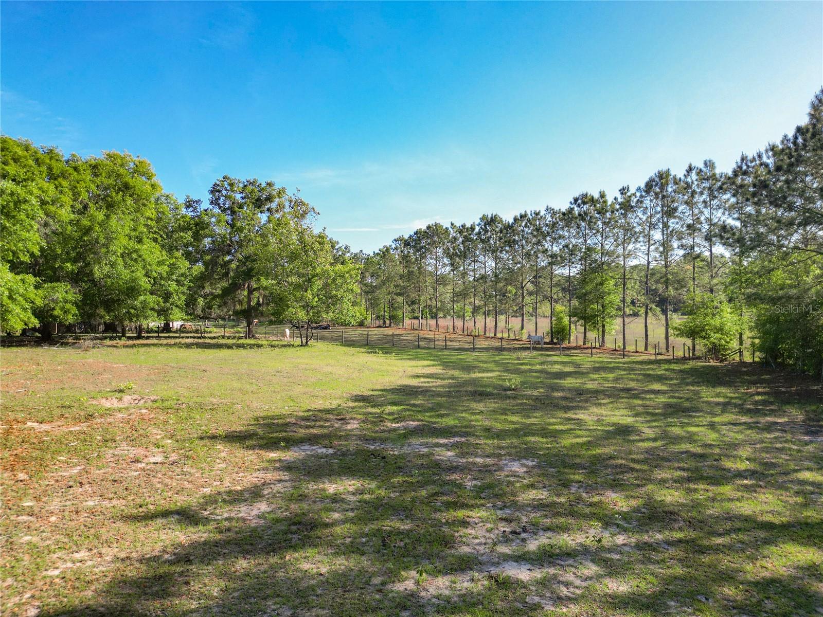 18540 NE 5TH TERRACE RD, CITRA, FL, 32113