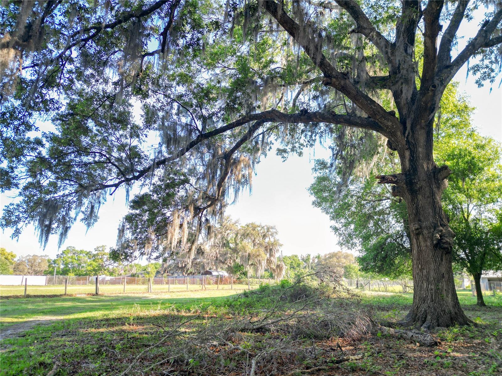 18540 NE 5TH TERRACE RD, CITRA, FL, 32113