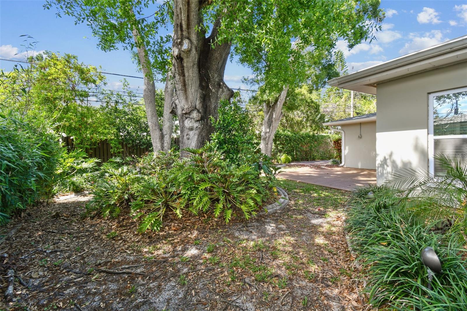 1320 WHISPERING PINES DR, CLEARWATER, FL, 33764