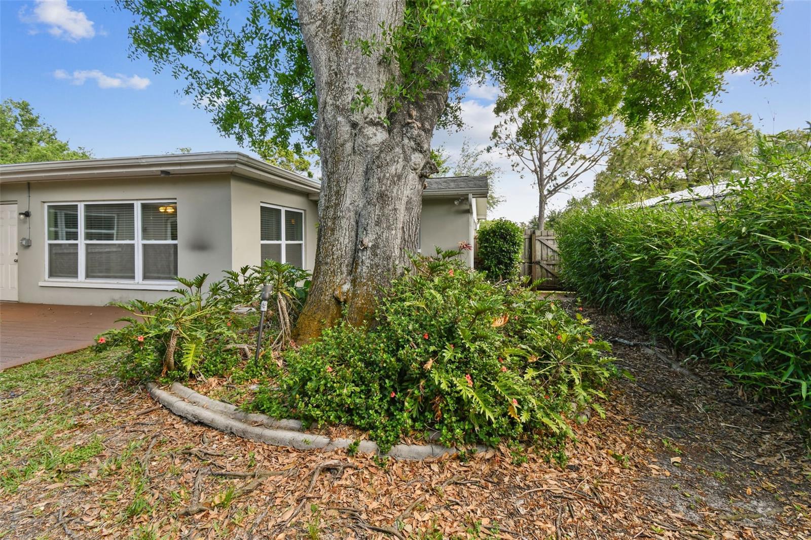 1320 WHISPERING PINES DR, CLEARWATER, FL, 33764