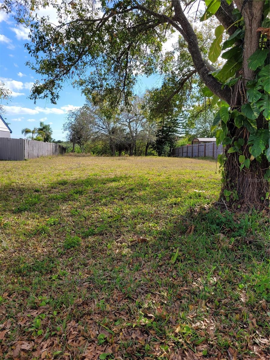 1907 CUTTY BAY CT, OLDSMAR, FL, 34677