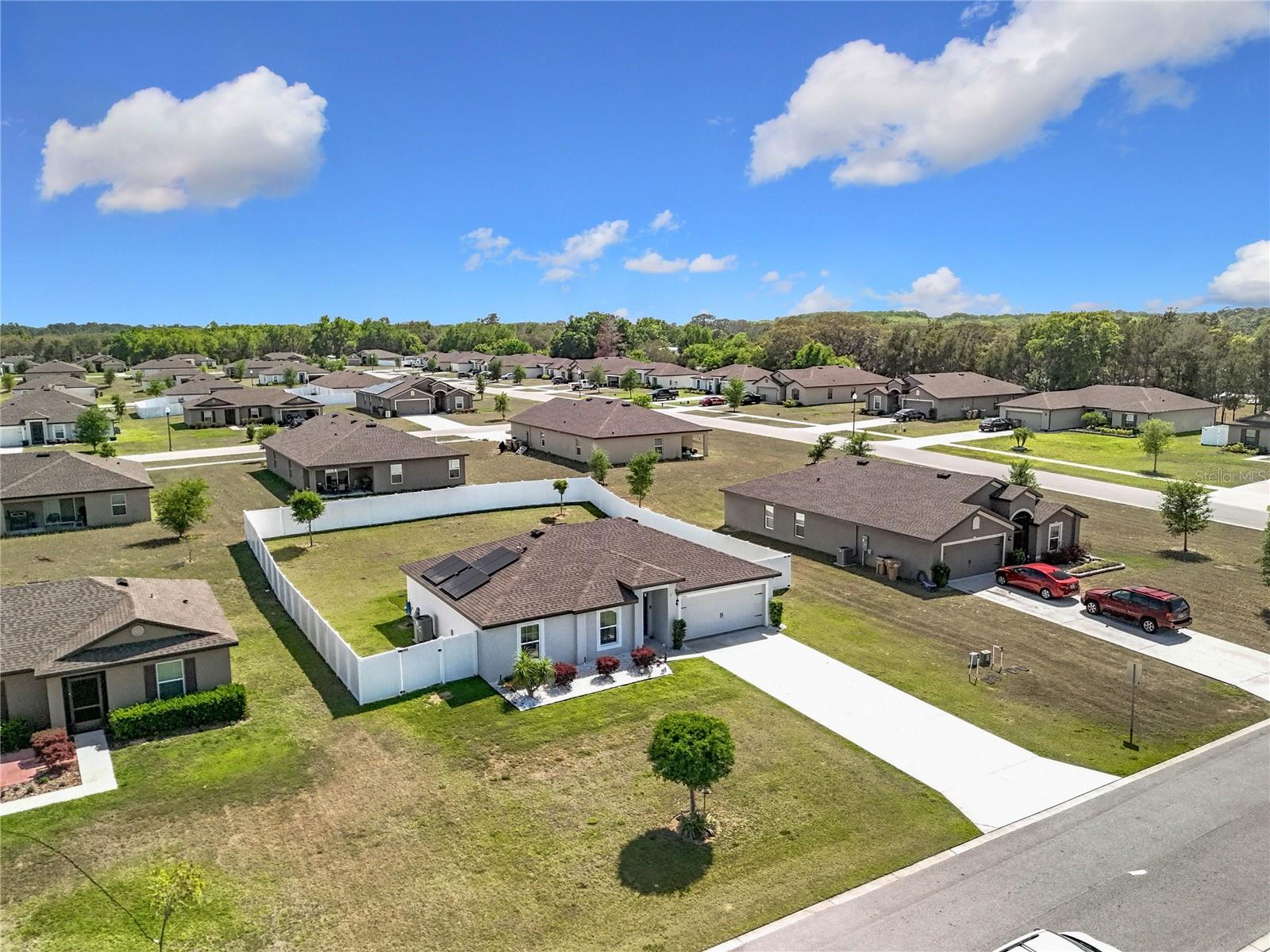 11995 CALLICARPA LN, LEESBURG, FL, 34788