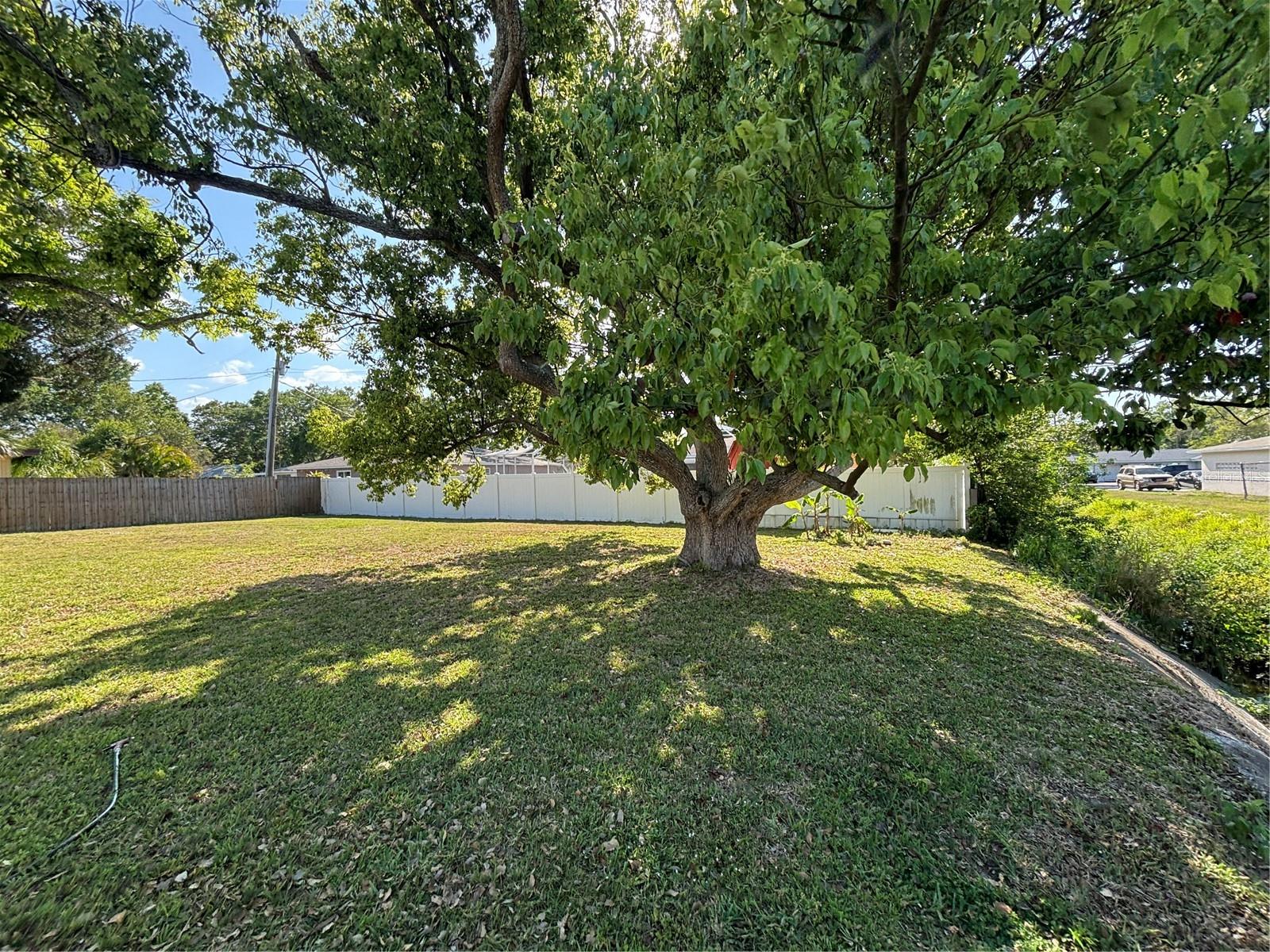 104 S HERCULES AVE, CLEARWATER, FL, 33765