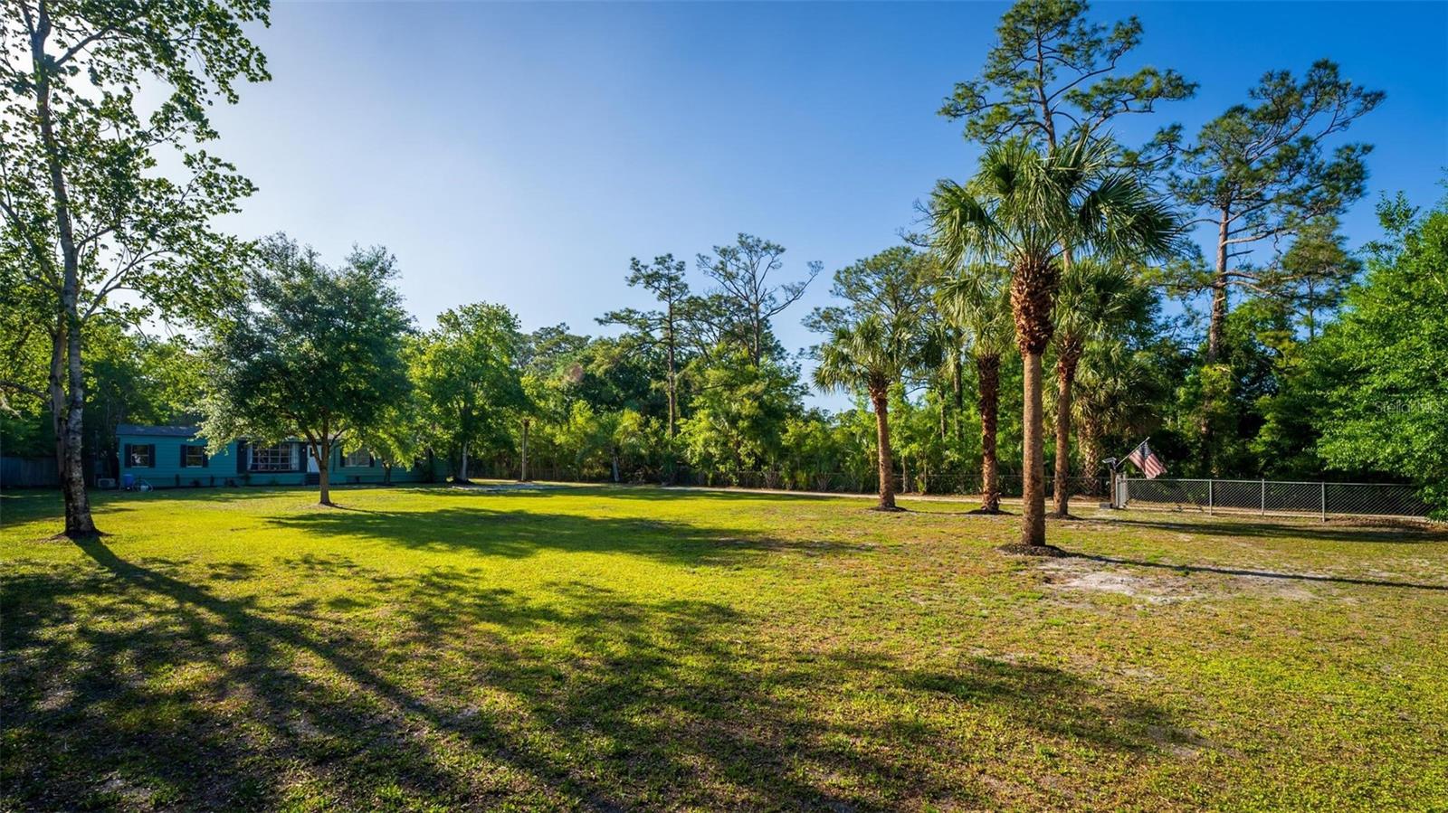 1236 SAINT CATHERINE AVE, CHRISTMAS, FL, 32709