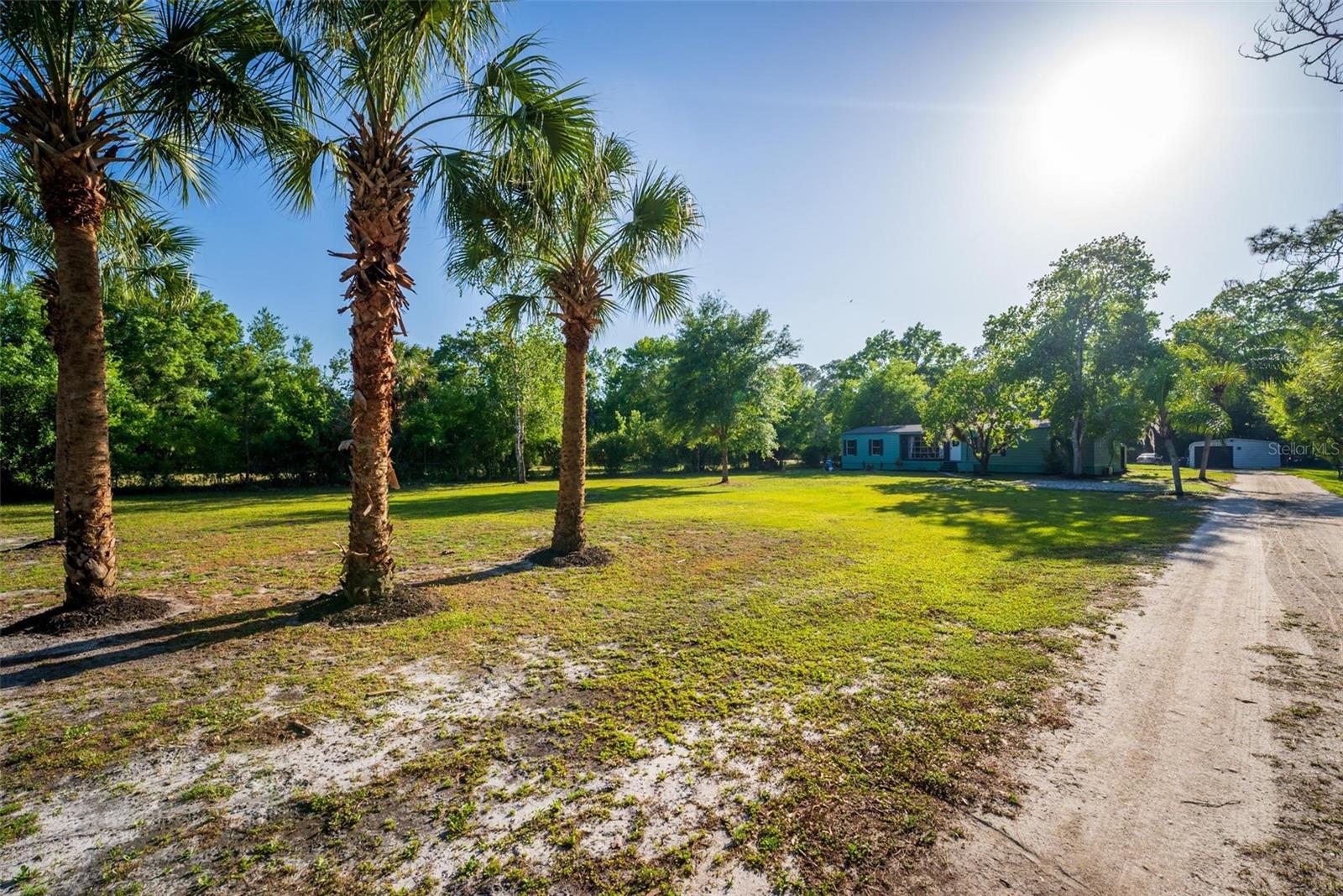 1236 SAINT CATHERINE AVE, CHRISTMAS, FL, 32709