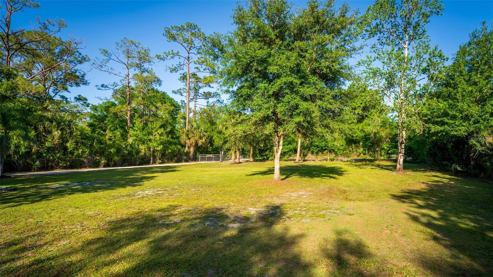 1236 SAINT CATHERINE AVE, CHRISTMAS, FL, 32709
