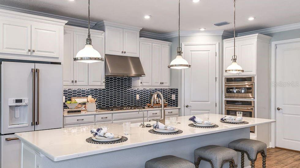 34002 ANCHOR LIGHT LN, WESLEY CHAPEL, FL, 33543