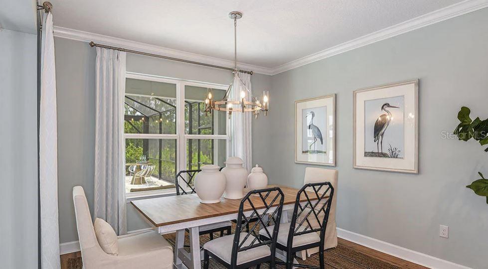 34002 ANCHOR LIGHT LN, WESLEY CHAPEL, FL, 33543