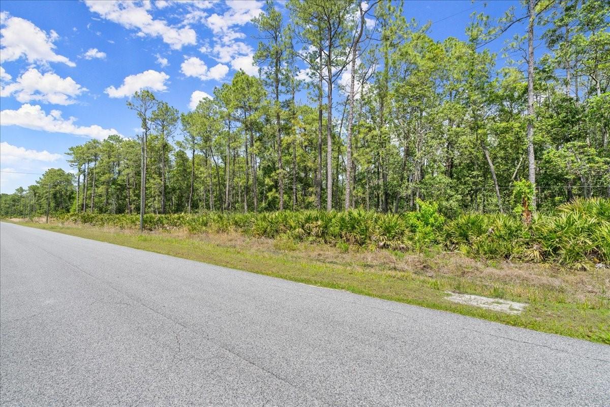PONDEROSA AVE, DELAND, FL, 32720