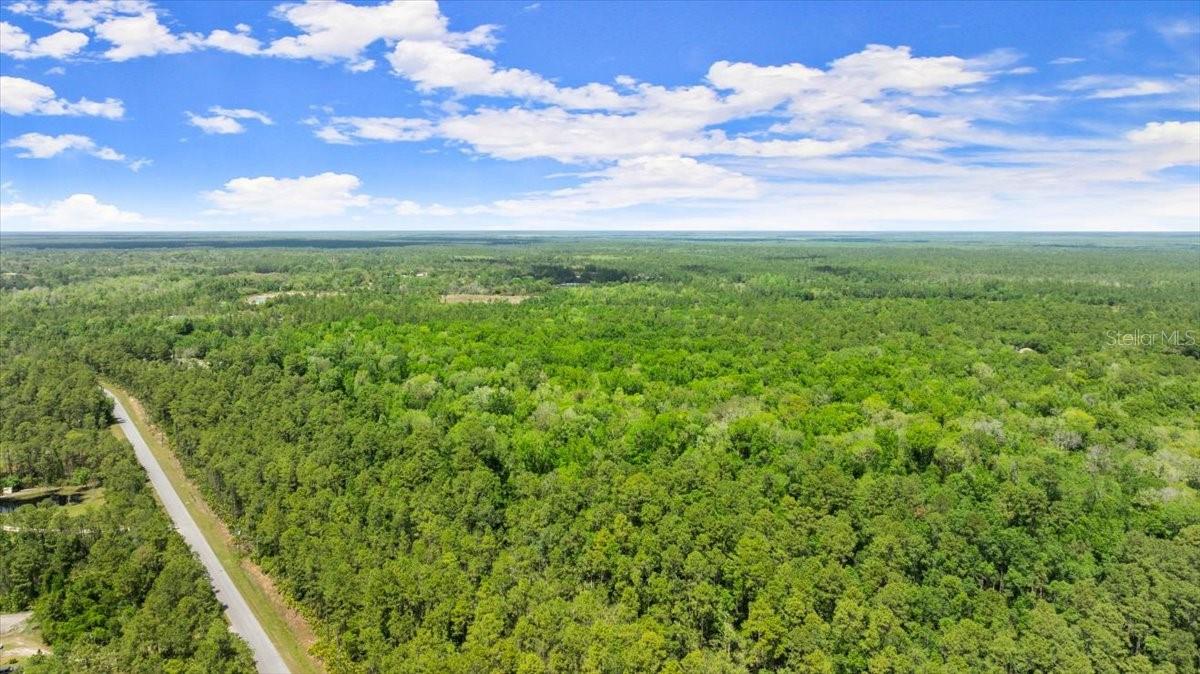 PONDEROSA AVE, DELAND, FL, 32720
