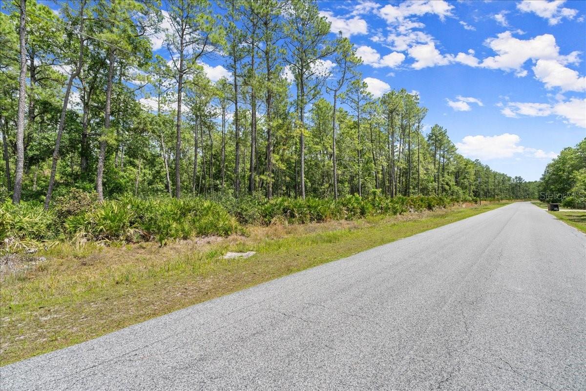 PONDEROSA AVE, DELAND, FL, 32720
