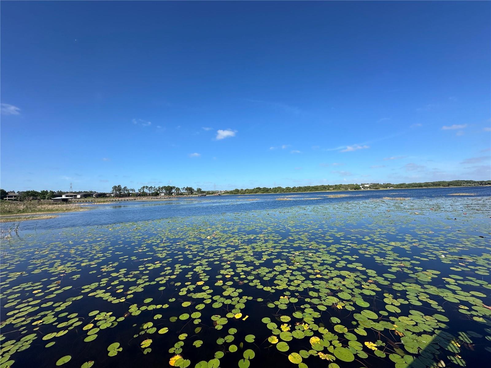 3399 BUOY CIR, WINTER GARDEN, FL, 34787