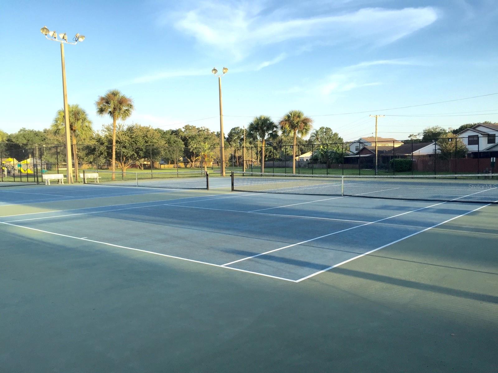 11010 SUMMER DR, TAMPA, FL, 33624