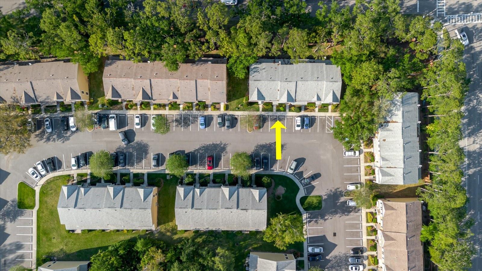 12436 BERKELEY SQUARE DR, TAMPA, FL, 33626