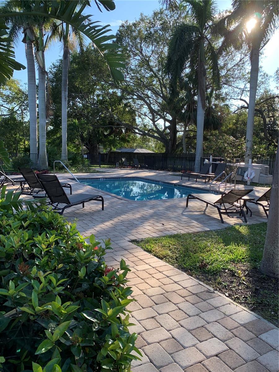 2216 BAHIA VISTA ST #H1, SARASOTA, FL, 34239