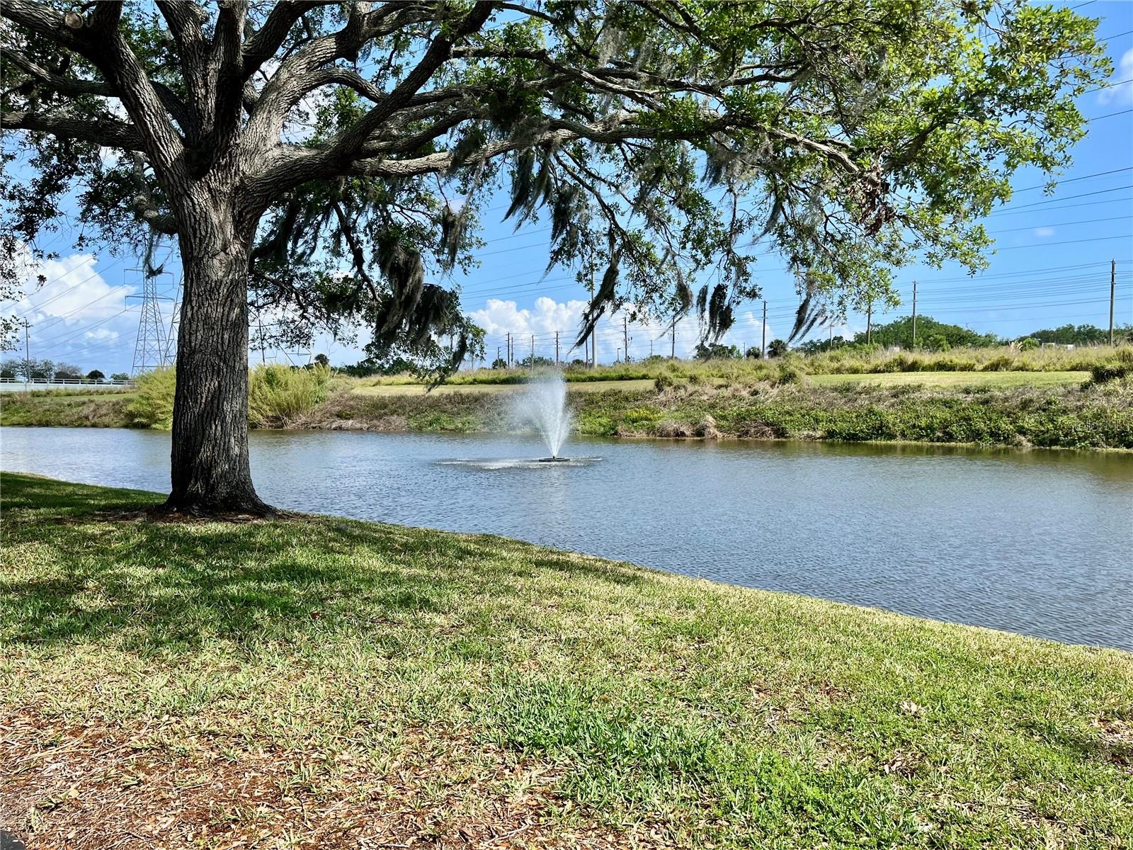 3025 BONAVENTURE CIR #103, PALM HARBOR, FL, 34684