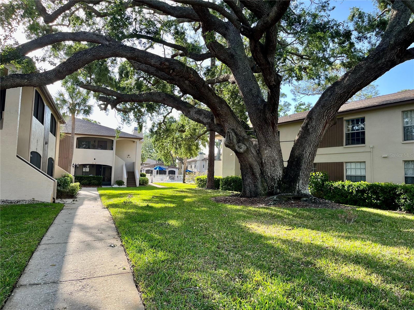 3025 BONAVENTURE CIR #103, PALM HARBOR, FL, 34684