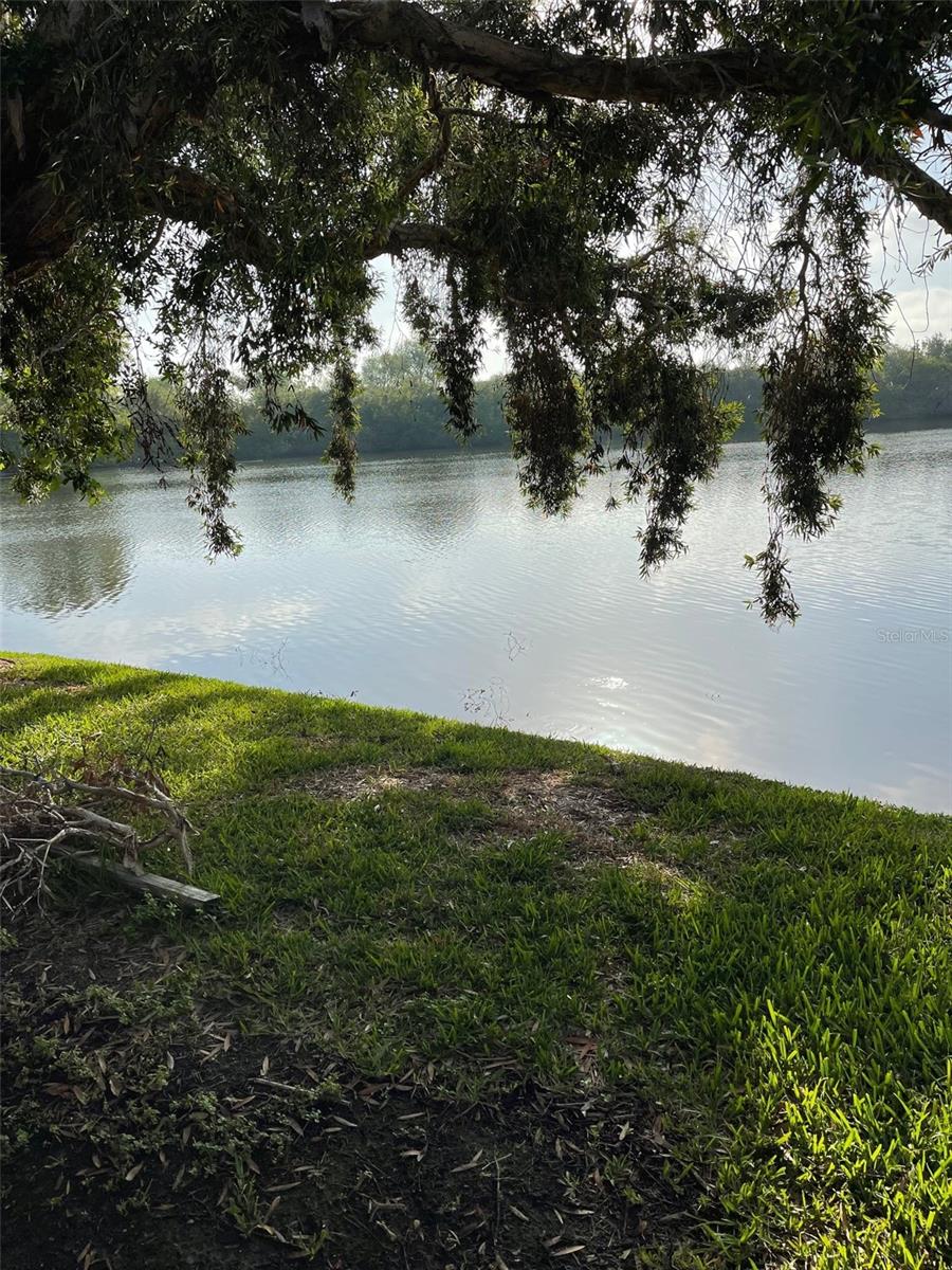 782 VILLAGE LAKE TER N #102, ST PETERSBURG, FL, 33716