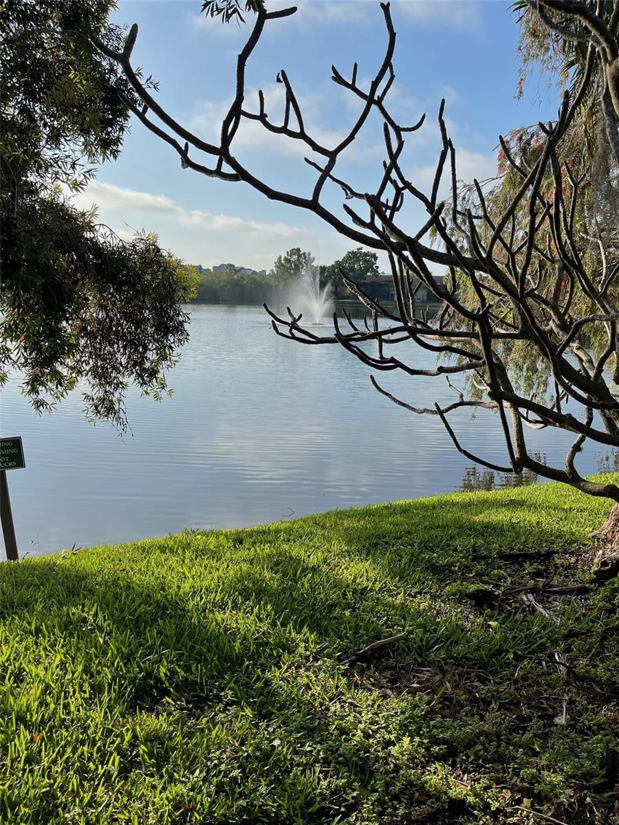 782 VILLAGE LAKE TER N #102, ST PETERSBURG, FL, 33716