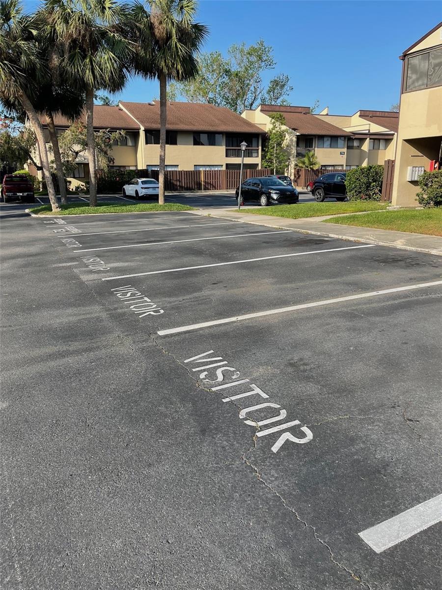 782 VILLAGE LAKE TER N #102, ST PETERSBURG, FL, 33716