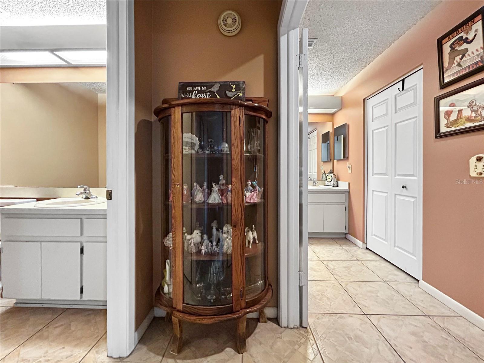 3410 CADE LN, VALRICO, FL, 33596