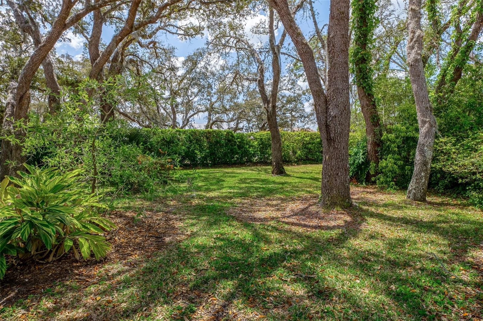 9154 ALEXANDRIA DR, WEEKI WACHEE, FL, 34613
