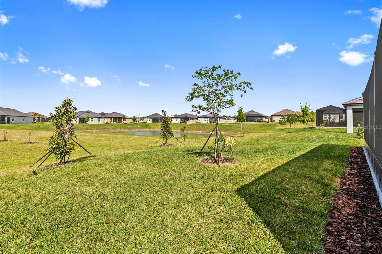 10393 TUPPER CAY DR, SAN ANTONIO, FL, 33576